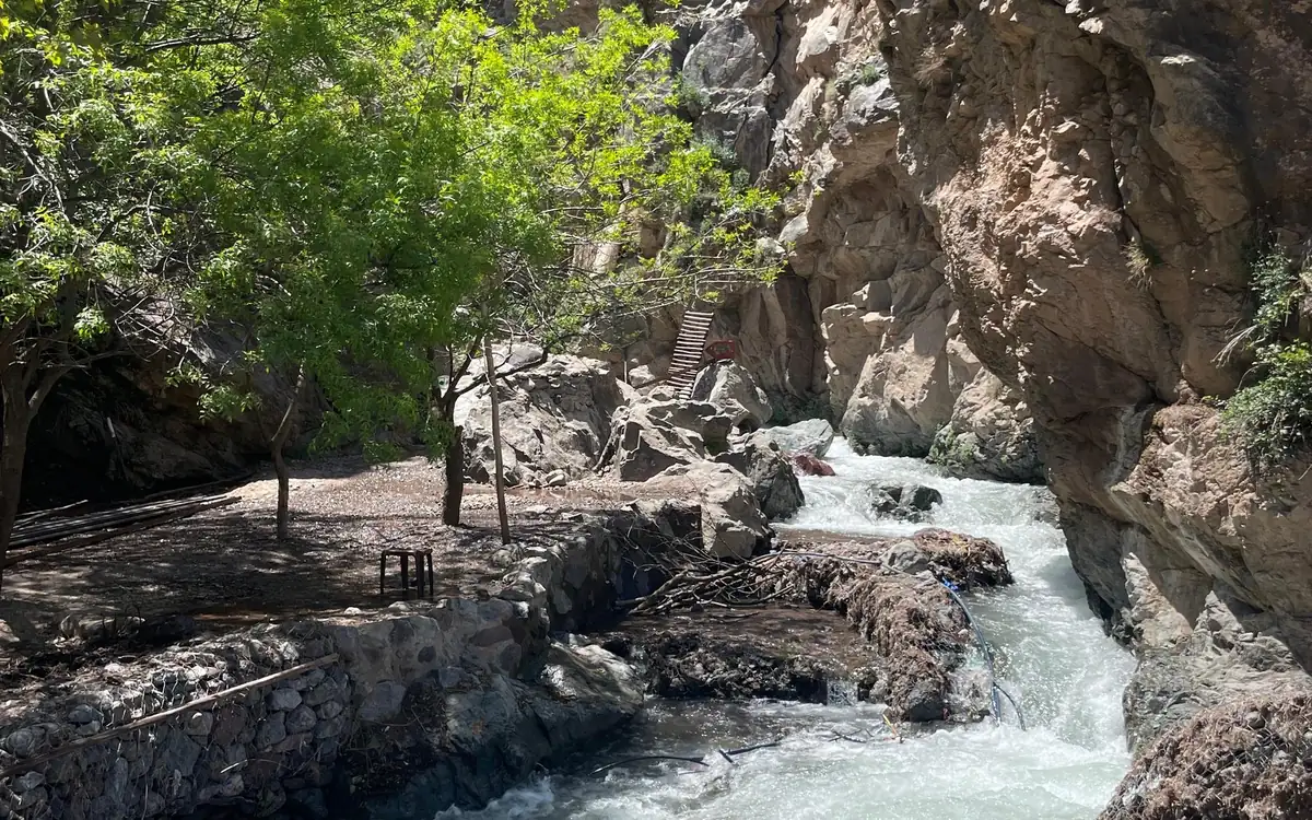 A mountain stream tumbling over rocks under trees in a gorge