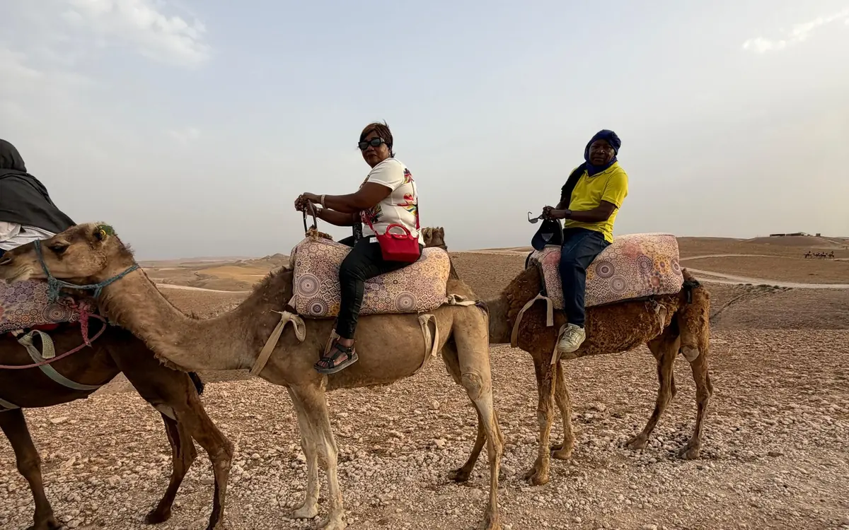 Two riders on saddled camels crossing flat, stony desert ground