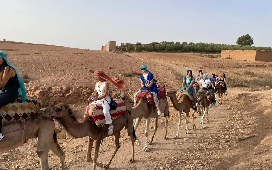 A line of camels with riders on a desert track